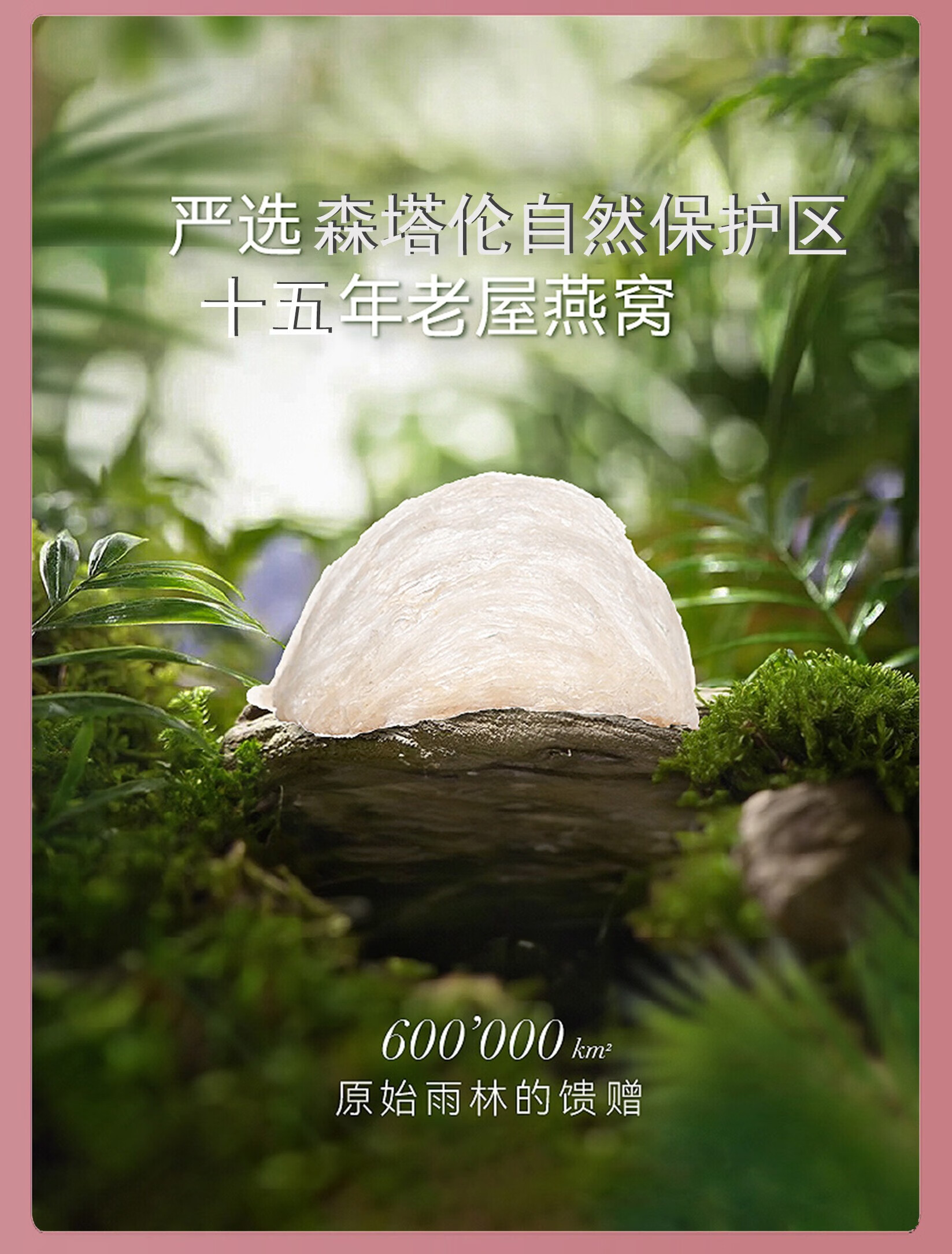 d6b8a9c7764c1453.jpg