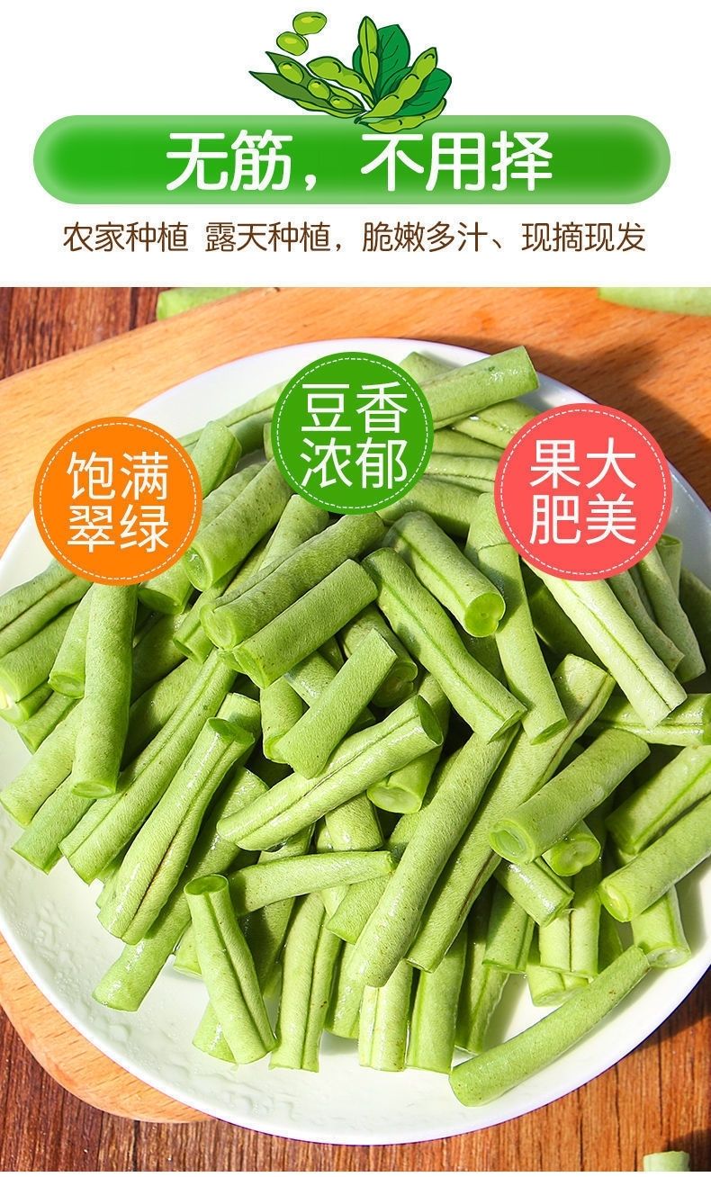 无筋豆新鲜蔬菜无筋豆豆角架豆四季豆无丝豆现摘长豆角芸豆嫩刀豆