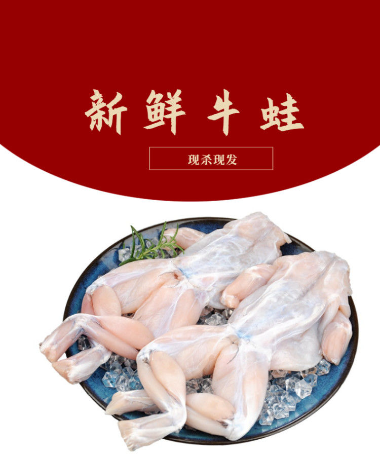 新鲜速冻牛蛙整只牛蛙肉青蛙肉牛蛙腿肉肉干锅牛蛙肉冷冻生鲜买五加一