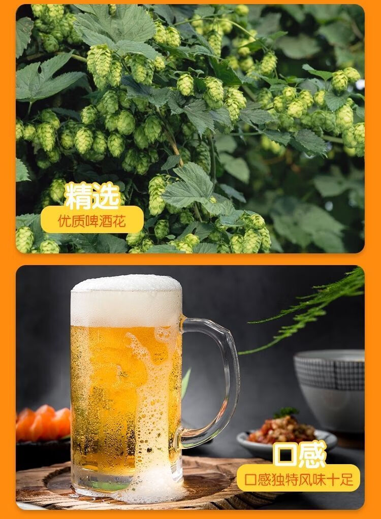 5折花椒精酿啤酒国产陕西特产全麦芽大红袍花椒啤酒醇爽330ml6超值大