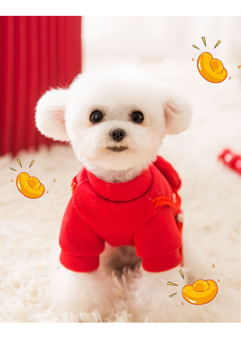 狗狗新年衣服秋冬装泰迪猫咪过年喜庆比熊宠物冬天保暖小型犬加厚红色
