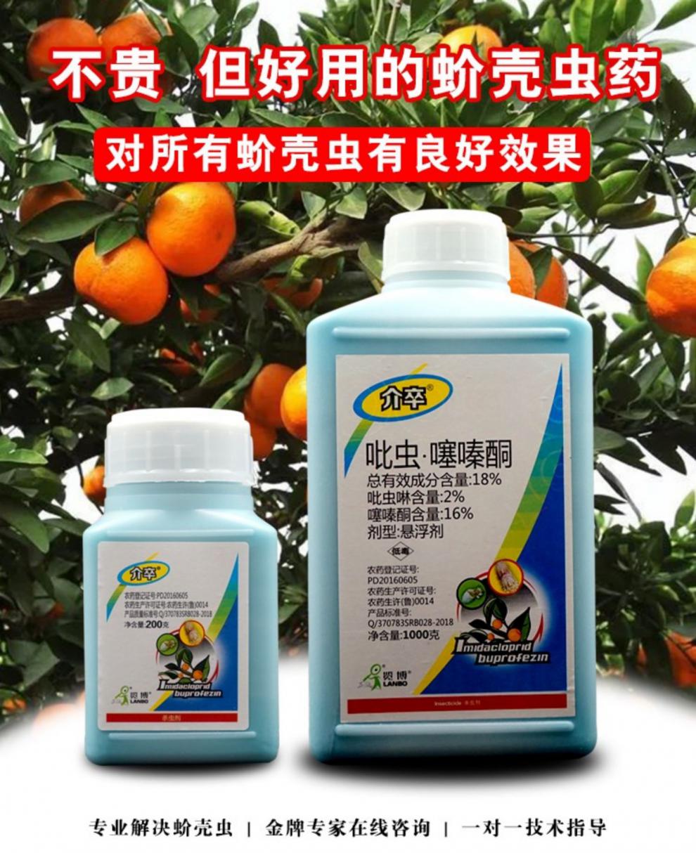蚧壳虫药介壳虫专用药梨木虱18%吡虫噻嗪酮柑橘果树农药批杀虫剂 200g