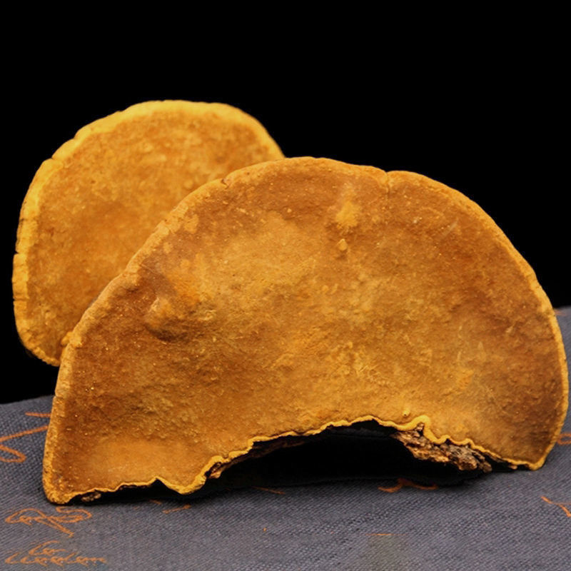 怿仁堂西藏野生桑黄正宗西藏桑树桑黄野生金边桑黄灵芝桑黄泡酒 25年