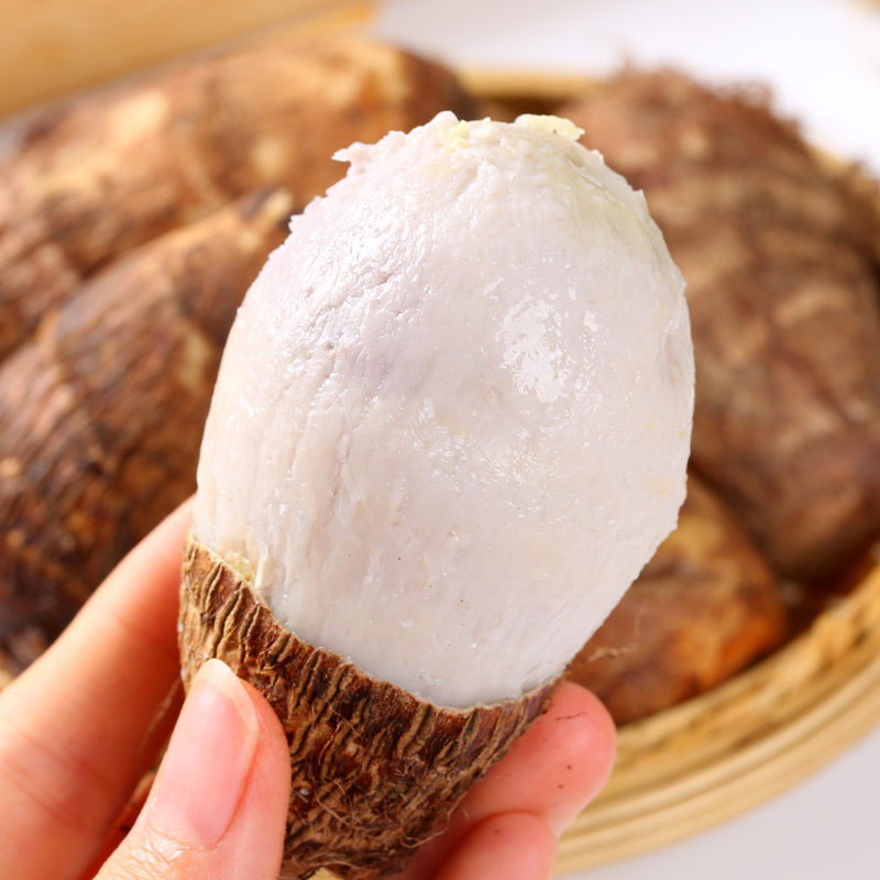 云南牛奶小芋头3斤5斤山地毛芋仔香芋新鲜蔬菜整箱批发10斤5斤净重