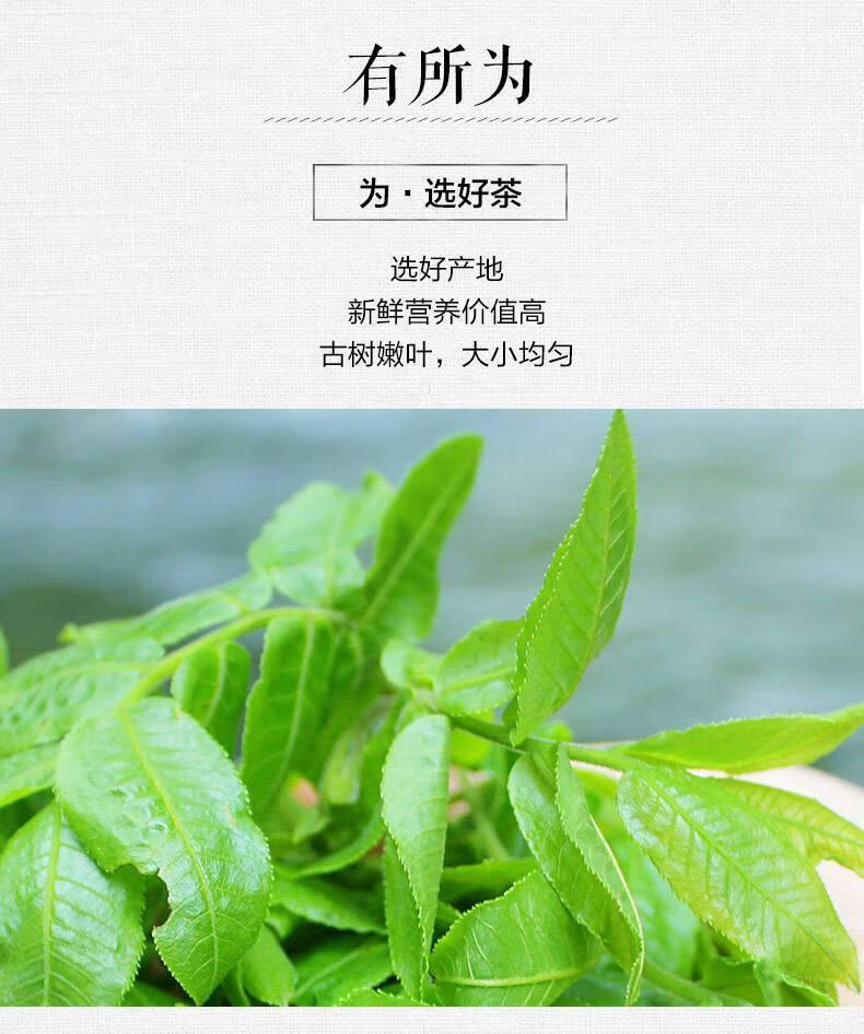 8a53549d9239f37f.jpg
