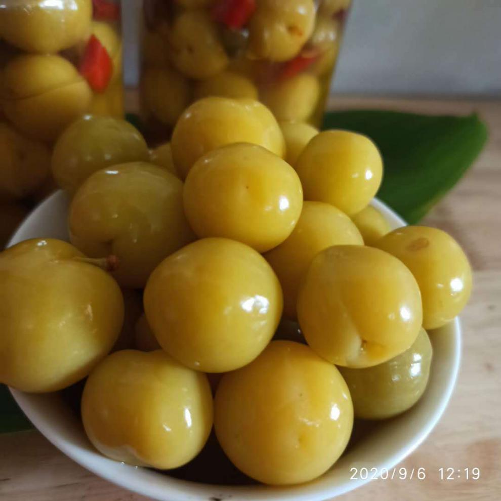 广西酸李子酸嘢农家自制李子腌制水果新鲜李子泡果横县不辣300克瓶