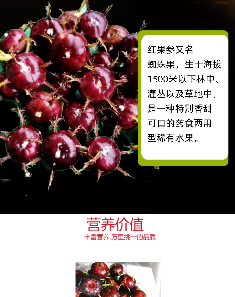 轻恋红果参水果贵族蜘蛛果稀奇古怪新鲜罕见稀有不常见当季野果一盒
