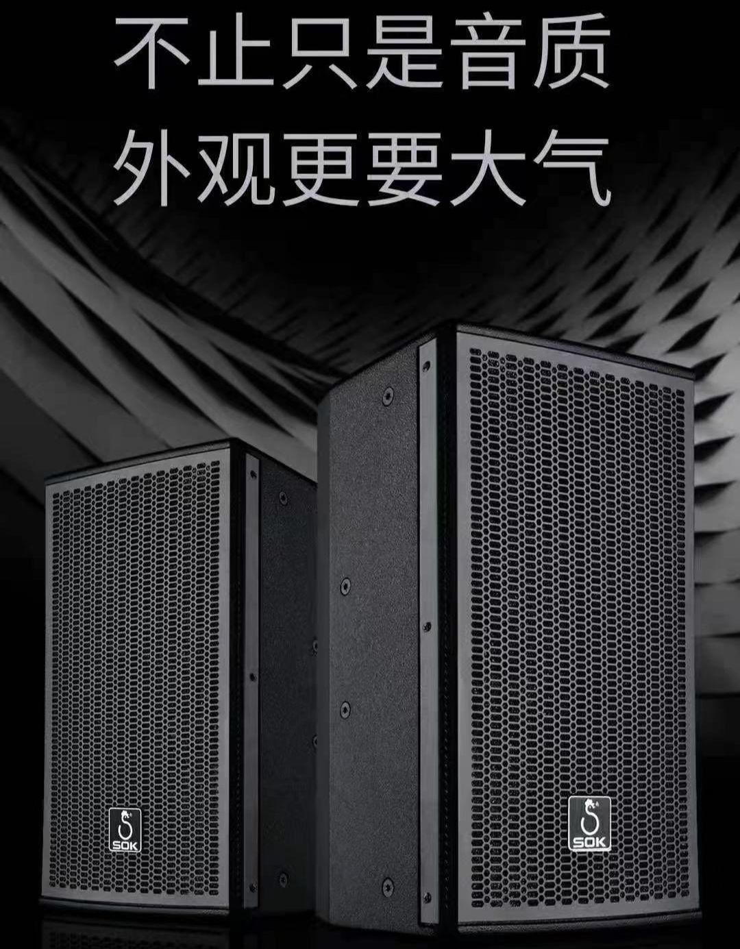 sok音响3号套装户外演出k歌家用会议室舞台无线话筒大功率s809s3010