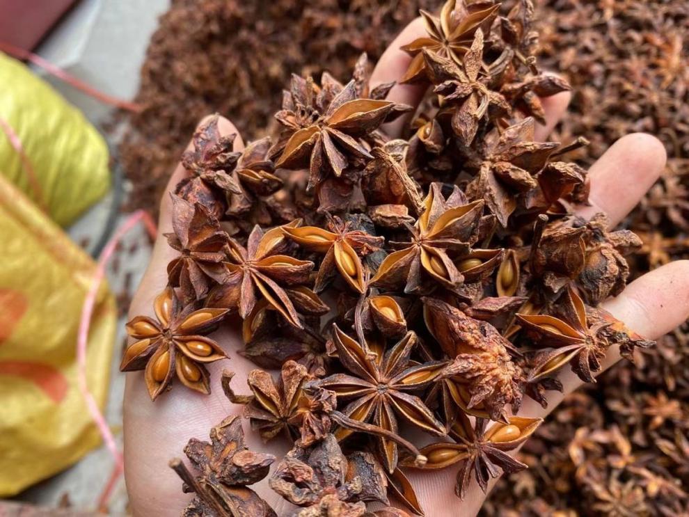 广西正宗八角大料批发全干香料卤味干货纯干家用桂皮调料大全 八角