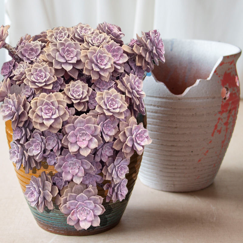 澜墨高切口造型缺口悬崖多肉花盆粗陶陶瓷多肉植物特大陶罐小老桩花盆