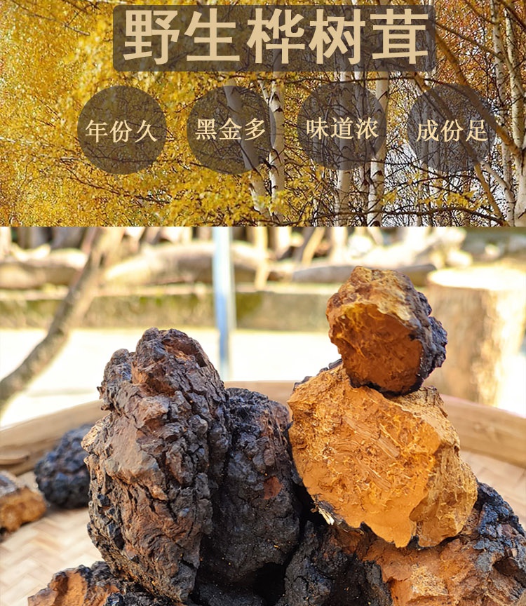 野生桦树茸桦褐孔菌一斤黑金白桦茸长白山俄罗斯进口 黑金带皮(买一斤