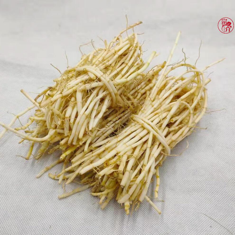 仁心食匠白茅根新鲜茅草根广东食材茅根甘蔗水毛草根毛根100克茅根