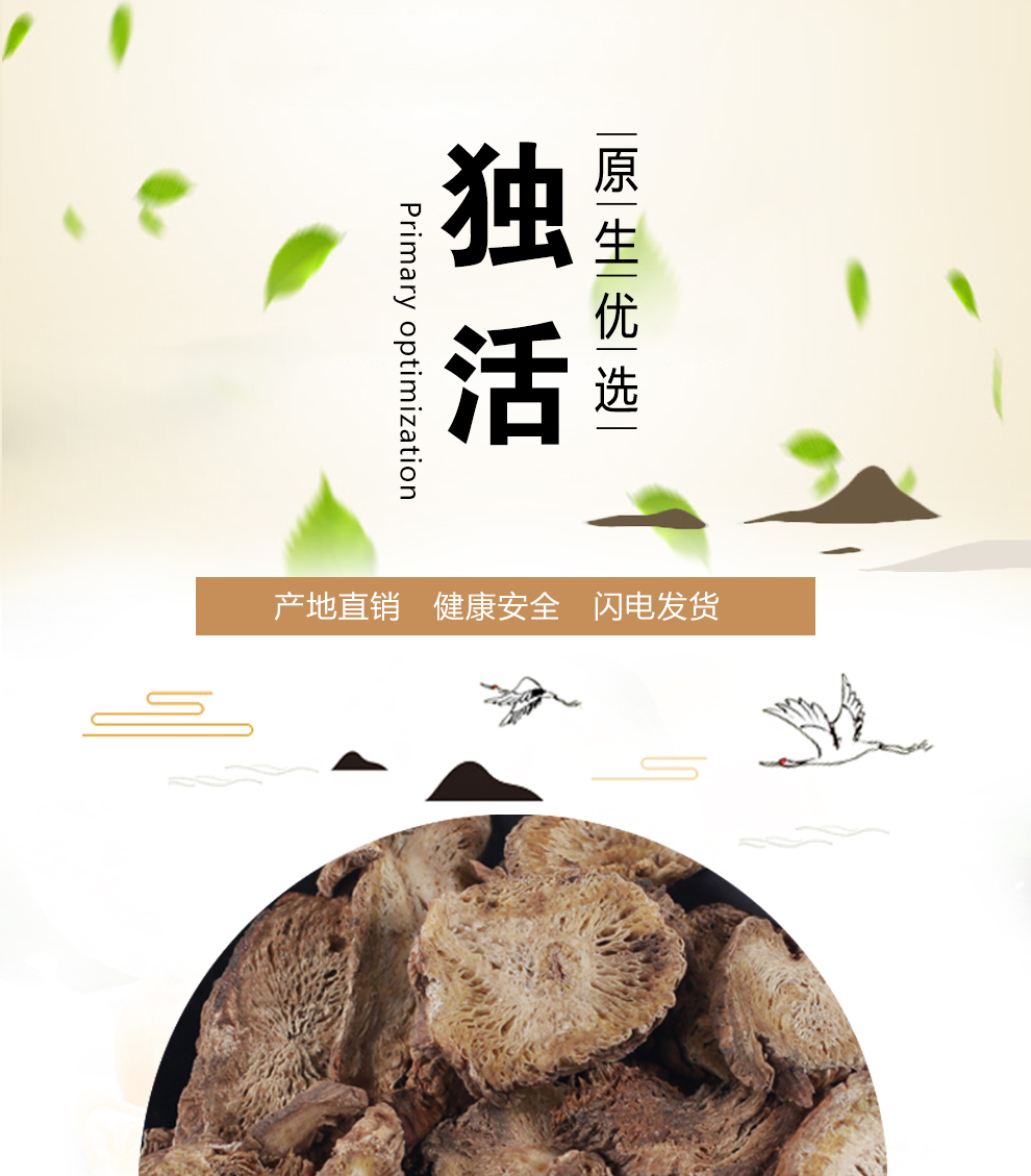 同仁堂独活中药材500g无硫独活片长生草独滑独摇草散装野生有桑寄生