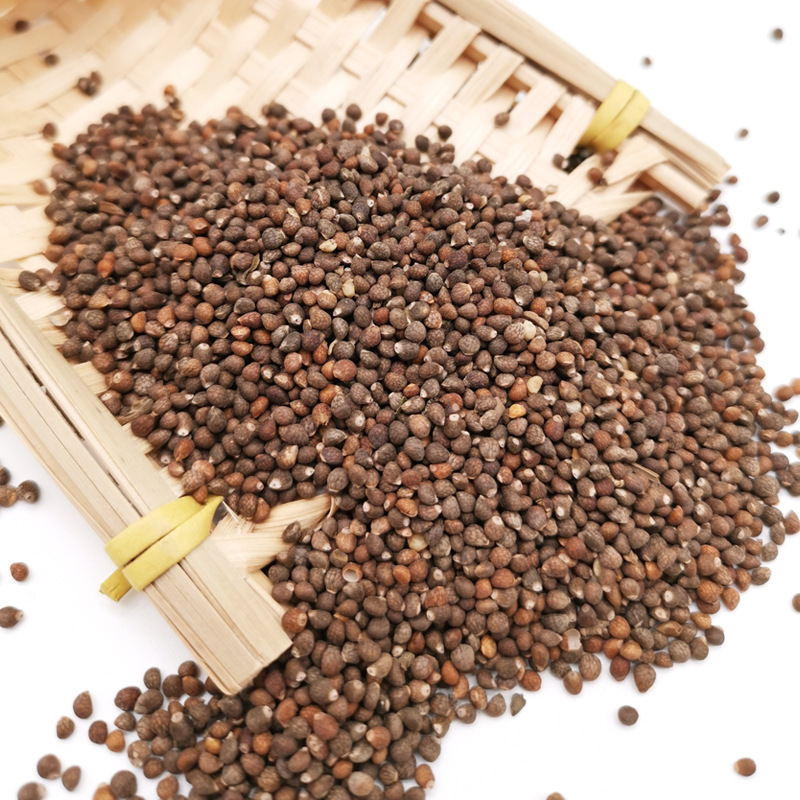 北京同仁堂中药材 炒苏子 炒紫苏子 炒玉苏子500g 另有 白芥子 莱菔子