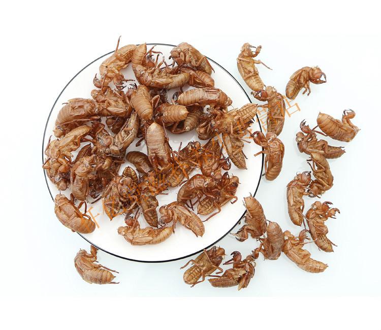 蝉蜕100g蝉脱金蝉衣金蝉壳蝉皮蝉壳蝉衣 知了皮知了壳【图片 价格
