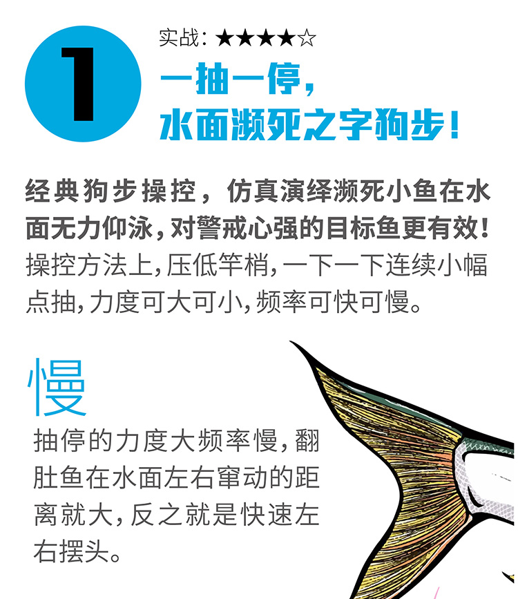 7e48be1ec1d8c247.jpg