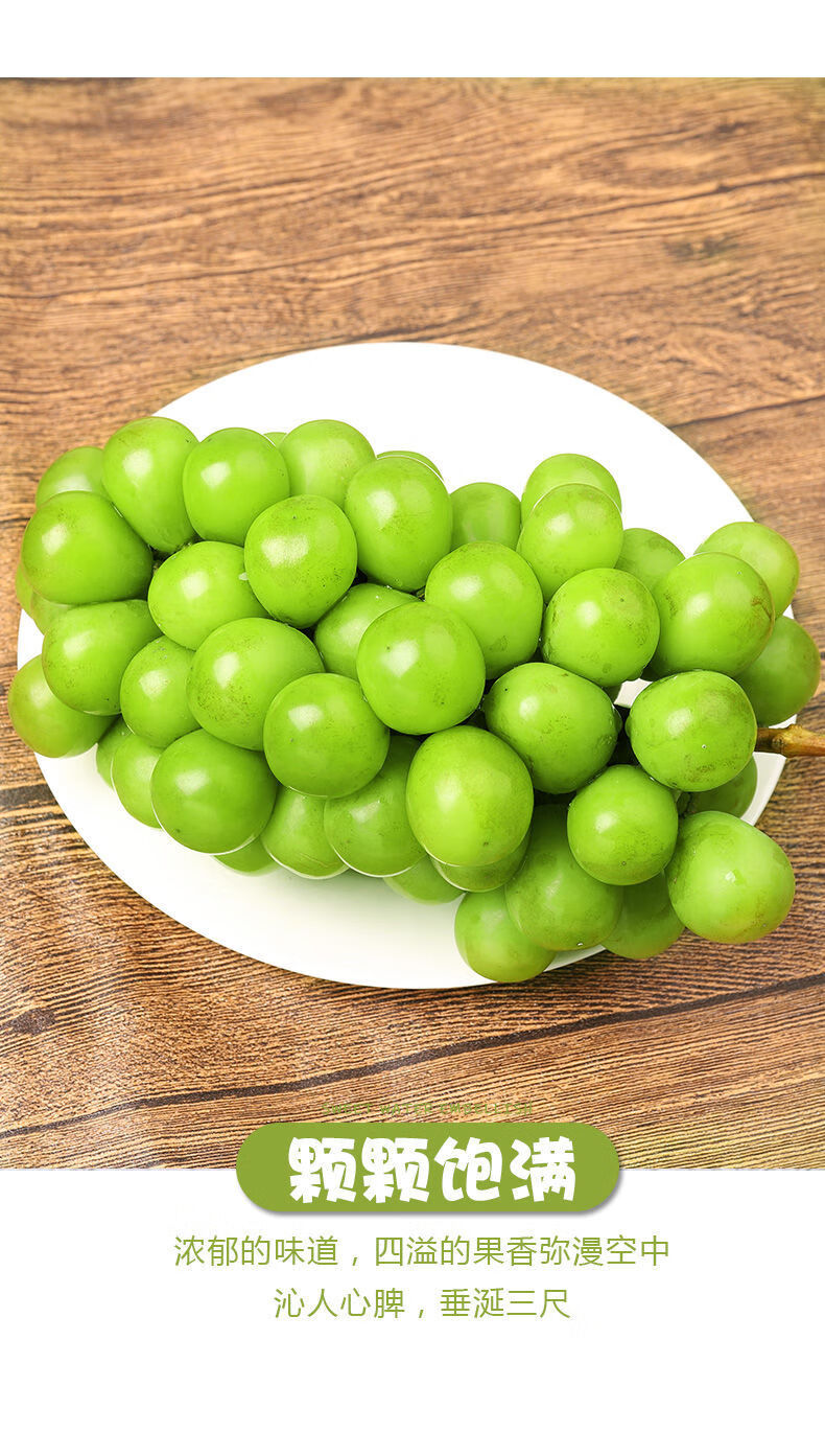 玢菓萱顺丰冷链新鲜上市整串当季阳光玫瑰葡萄绿提子新鲜孕妇水果非