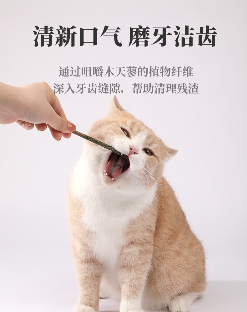 猫咪磨牙洁齿棒木天蓼棒猫薄荷逗猫棒磨牙啃咬棒幼猫特色零食用品lism