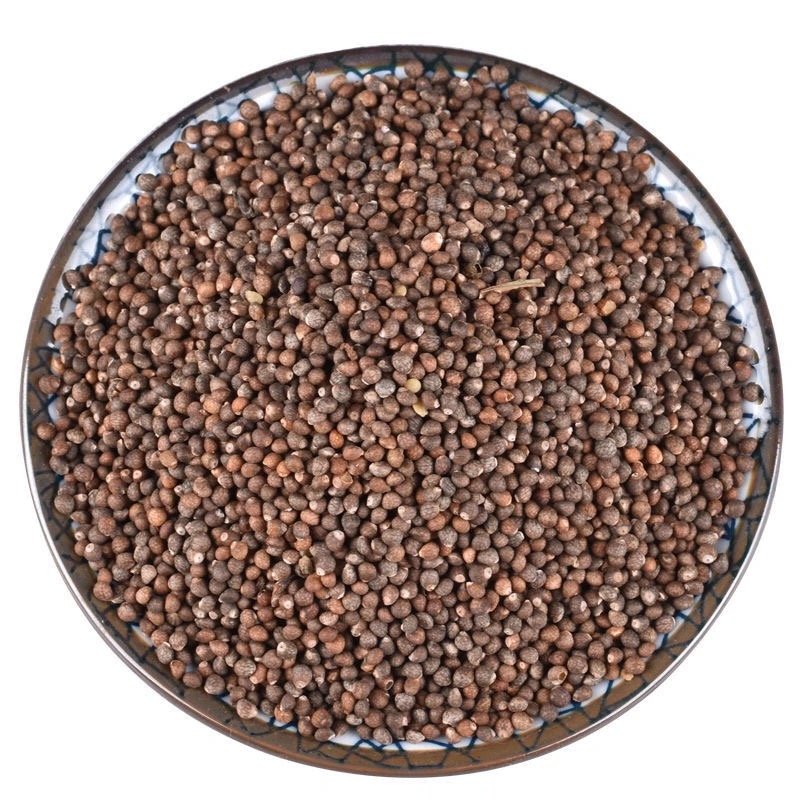 同仁堂紫苏籽500克紫苏子籽食生紫苏籽用非熟粒粒饱满打紫苏子籽粉