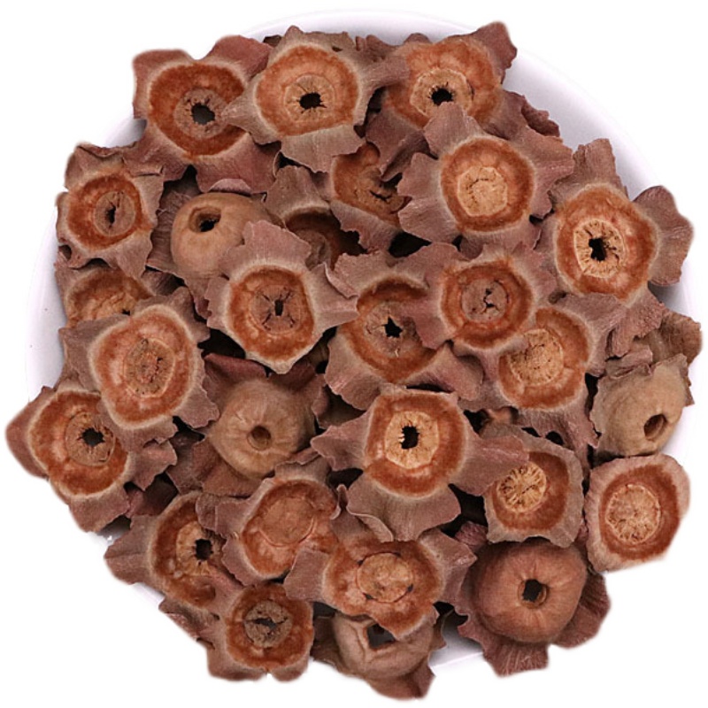 北京同仁堂野生柿蒂500g克柿钱柿丁柿萼柿子蒂另有丁香老柿蒂中药材