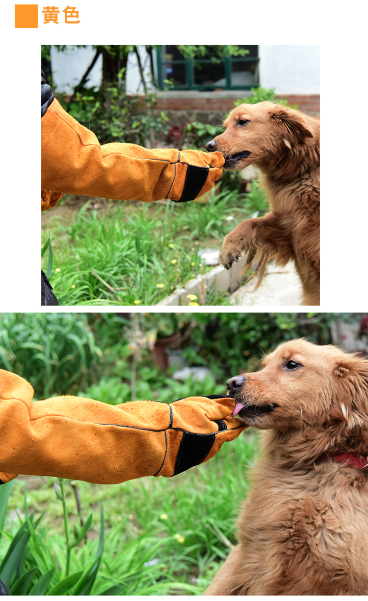 【京选优品】训狗防咬手套防狗咬手套宠物训狗防猫抓咬牛皮训练动物