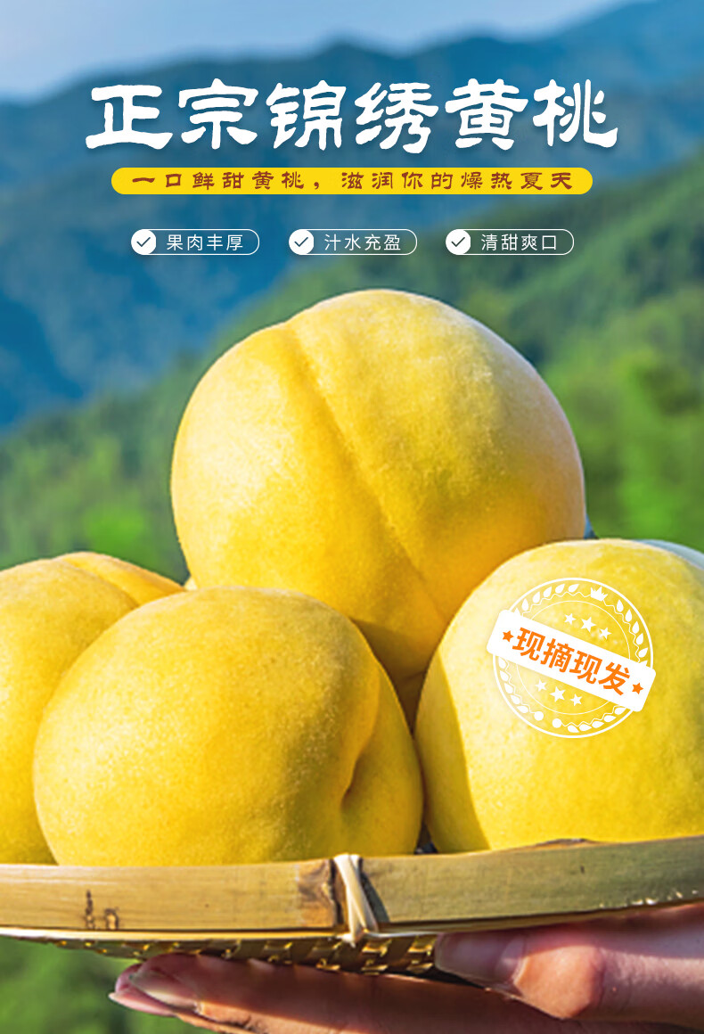 湖北现摘锦绣黄桃 5斤 桃园新鲜采摘桃子坏果 【锦绣黄桃】净重4.