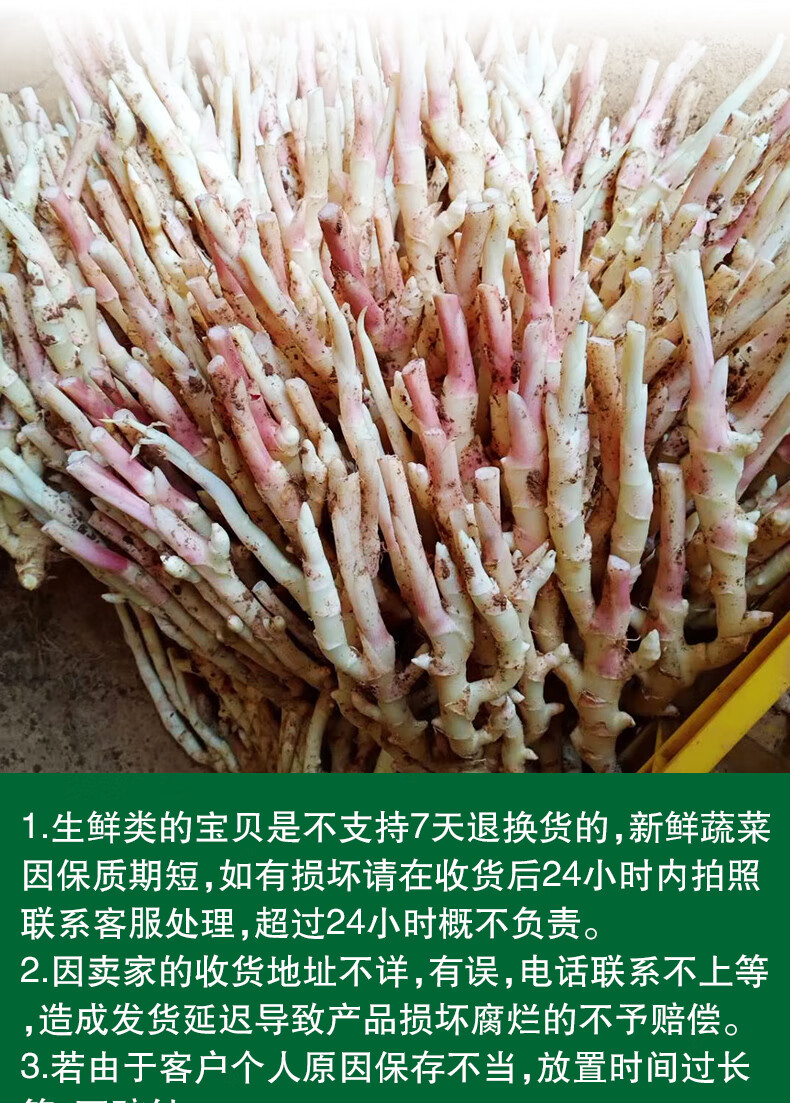 江永香姜嫩姜仔姜嫩生姜5斤装湖南永州特产农家现挖子姜腌制泡菜姜4