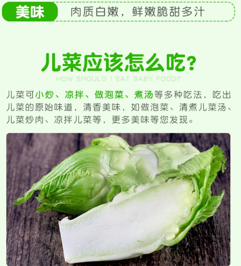 四川儿菜新鲜娃娃菜嫩儿抱儿子母菜耳菜青菜农家咸菜原料蔬菜批发儿菜