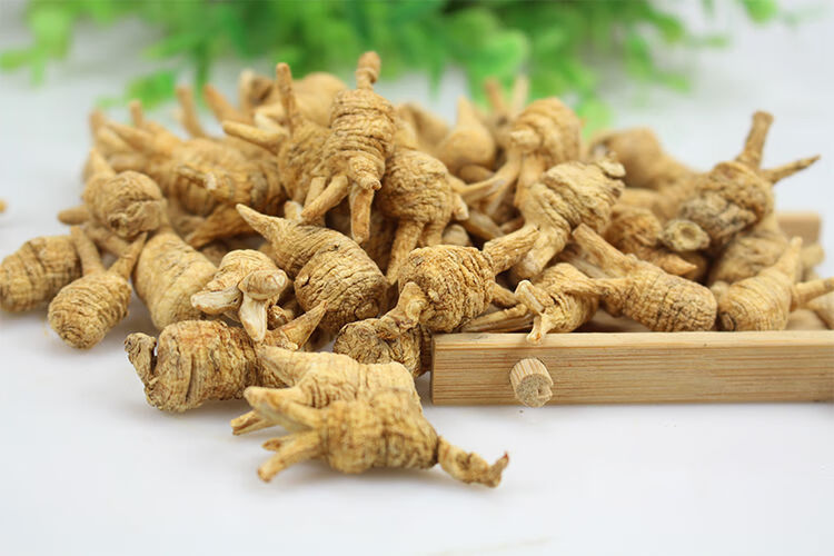 觅阳参雄茬觅阳参觅阳参大颗官方吉林长白山觅阳叁防伪 50克切片