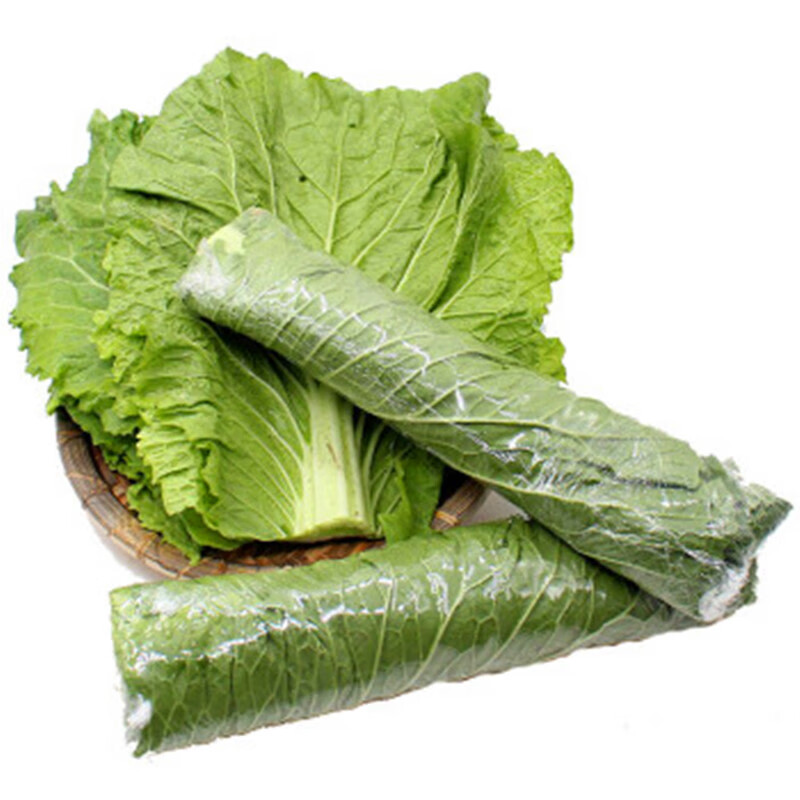 东北圆叶饭包菜打包饭蘸酱大白菜种子春秋大田庭院四季蔬菜种籽孑 圆