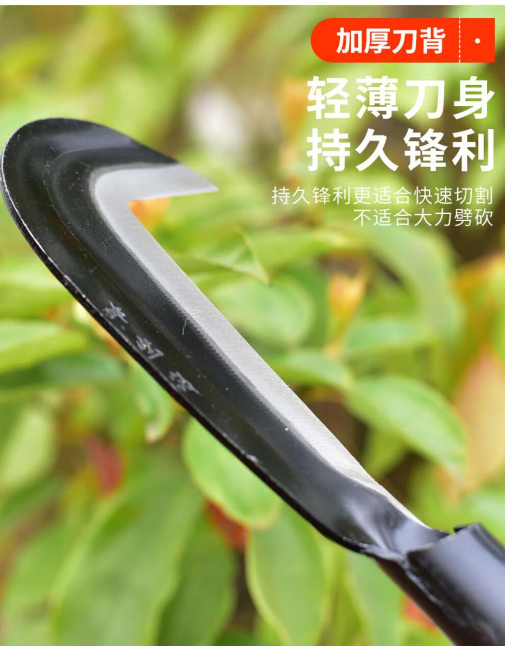 户外扫墓除草工具加长镰刀草刀柴刀枝弯刀农用割草刀廉刀连刀玫红色60