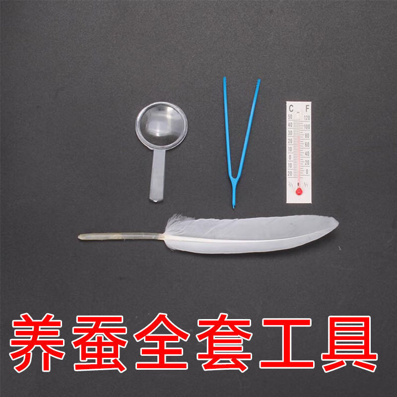 养蚕的盒子养蚕工具蚕宝宝套装小蚕饲养盒蚕卵孵化盒分养盒羽毛结茧网