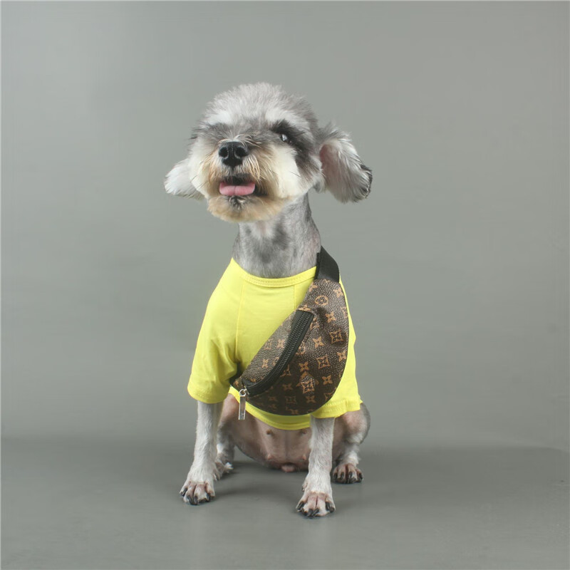 小狗狗斜挎腰包泰迪柯基小包包小型犬背包猫咪自背包tb老花皮包均码