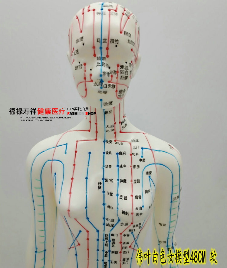 适用于清晰穴位图经络通男女人体模型人体经络模型铜人针灸穴位模型