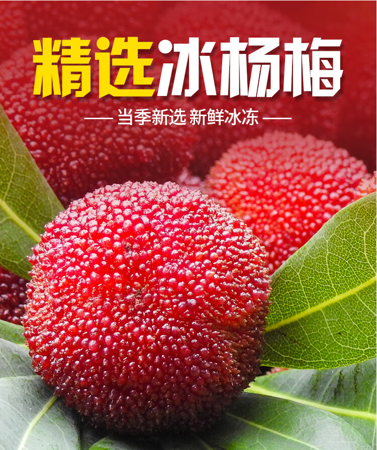 新品福建特大个冰杨梅220g盒装冷冻冰镇新鲜速冻冰杨梅球12颗220g10盒