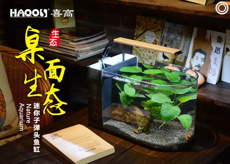 喜高桌面创意小型玻璃生态客厅头鱼缸水族箱小鱼缸懒人鱼缸48cm真水草