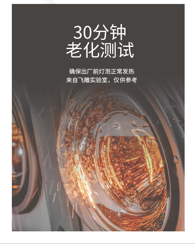 飞雕浴霸灯泡取暖灯中间照明小灯泡浴室卫生间防爆275w灯泡e2790型