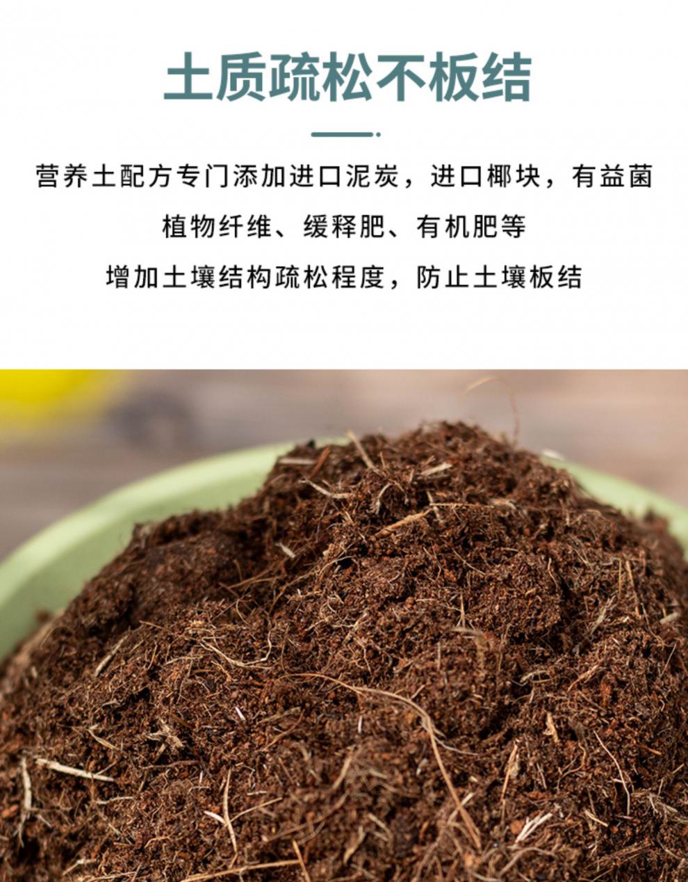 黎秋科天狼月季栽培基质配方土绣球铁线莲专用营养土通用椰糠羊粪有机