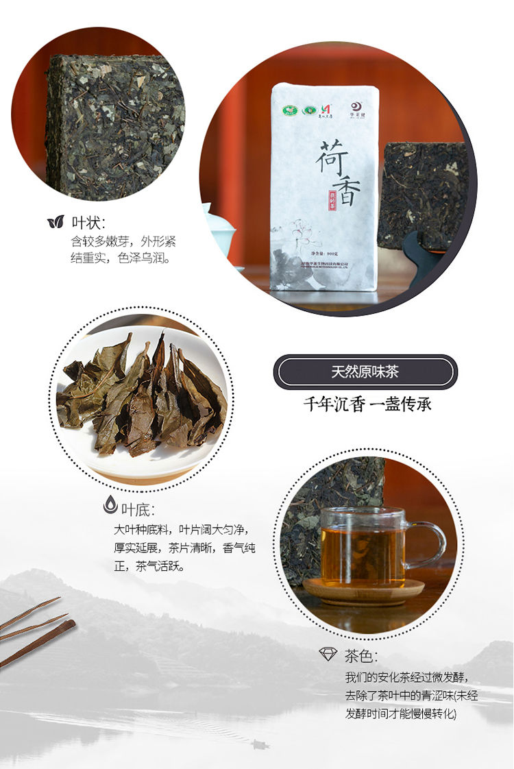 湖南华莱黑茶华莱健荷香茯砖茶900克金花茯砖900g