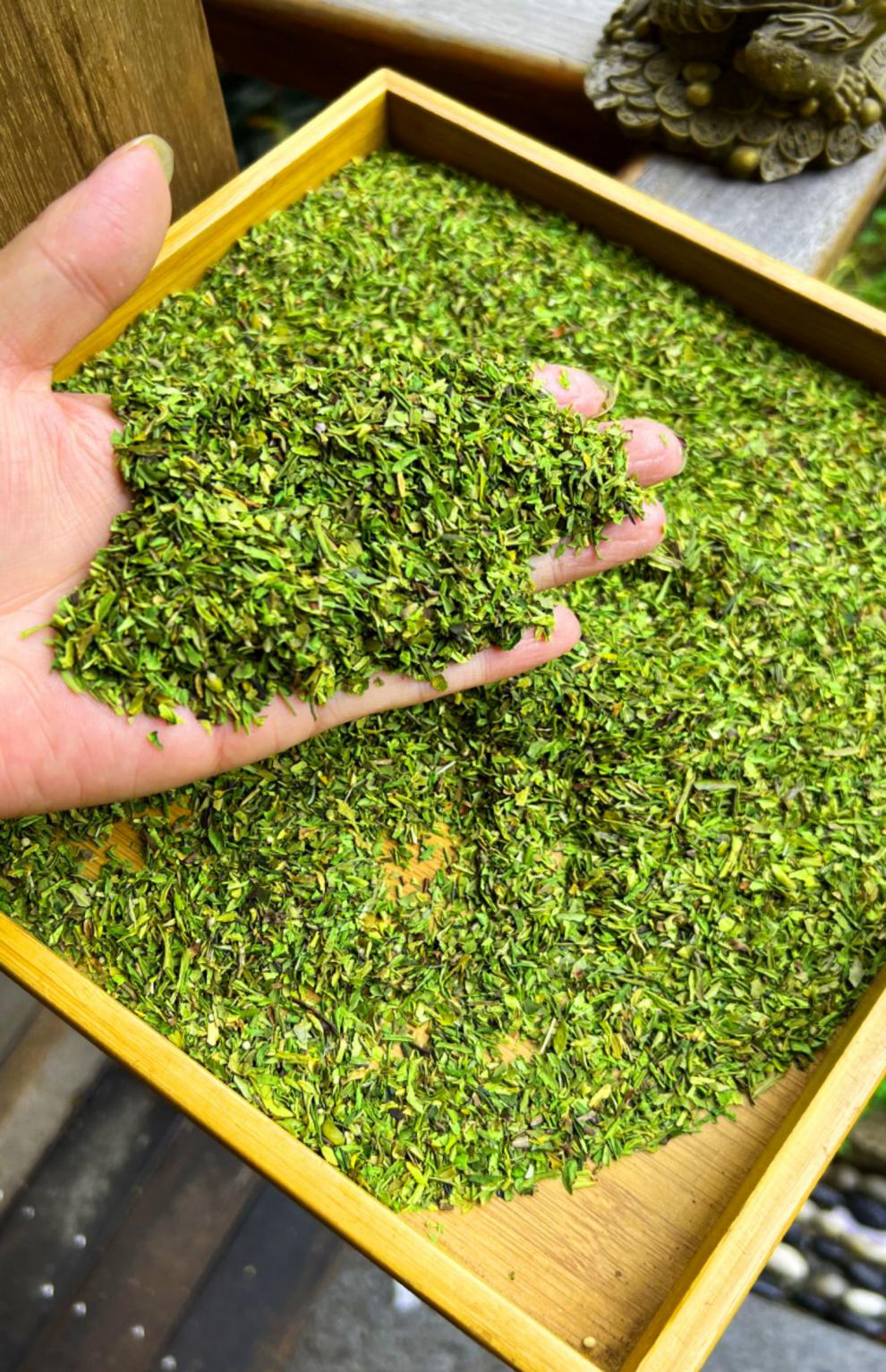 黄金小碎茶片2022年新茶叶明前嫩芽绿茶高碎散装500g浓香 500g 500g