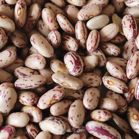 东北白花饭豆农家特色奶花芸豆新豆豆馅粥豆焖饭豆食用豆2斤