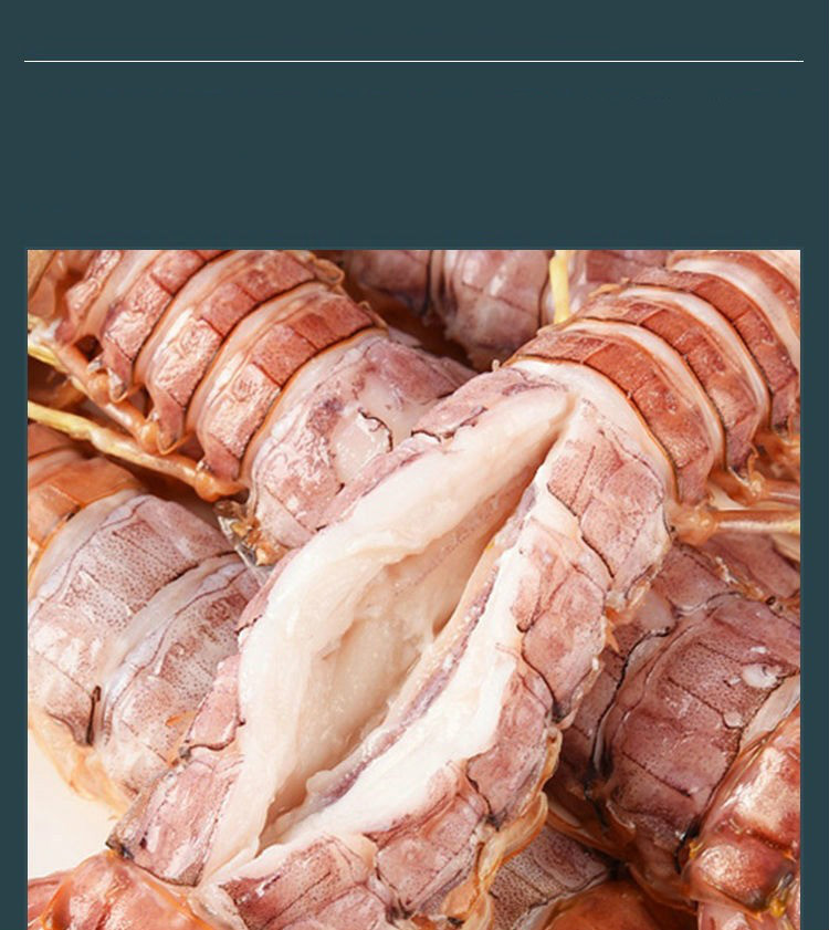 特大皮皮虾带膏鲜活熟冻虾姑虾爬子虾婆满黄大琵琶虾濑尿虾 恺蒂鲜