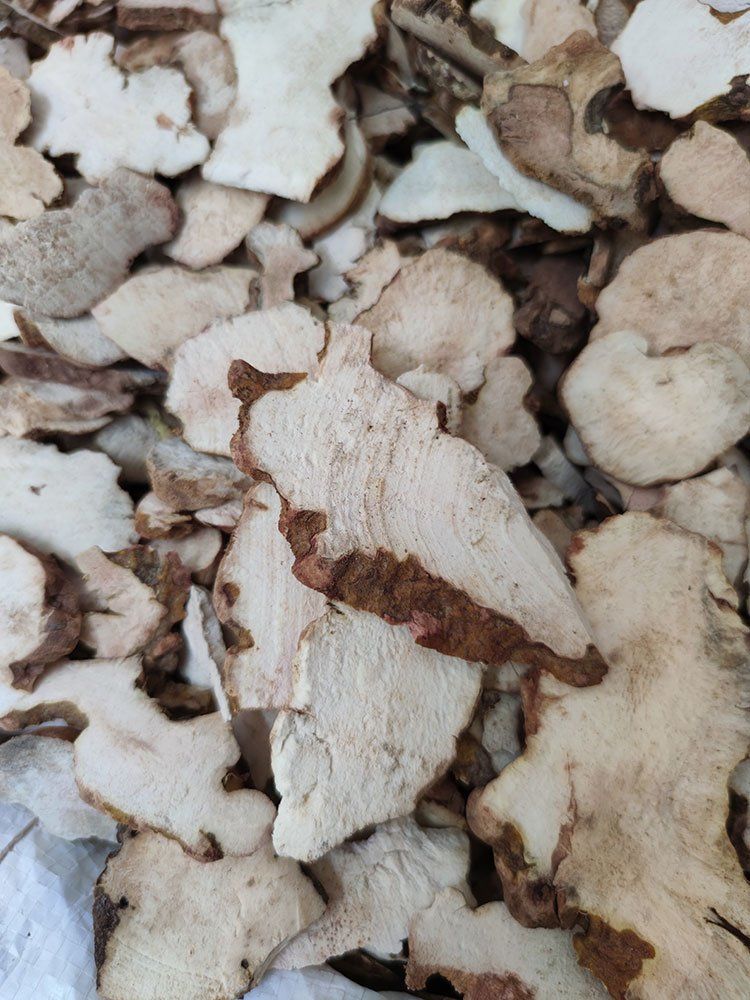 新鲜土茯苓深山中药材农家食用煲汤食材白茯苓硬饭头500 2斤【新鲜土