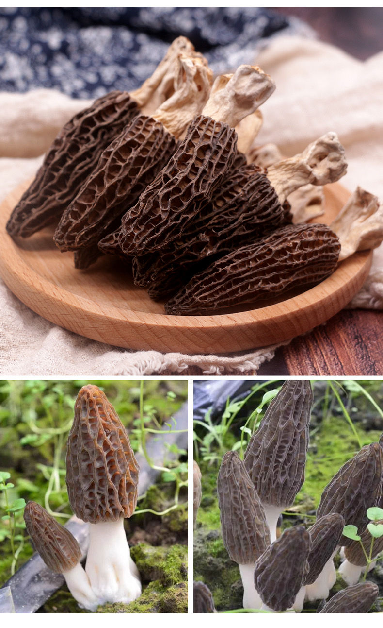 羊肚菌干货云南香格里拉高海拔羊肚蘑菇营养菌煲汤火锅料 精选羊肚菌