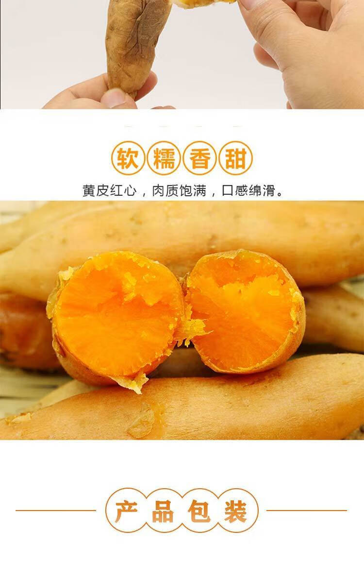 e29c3b30e81d2b20.jpg