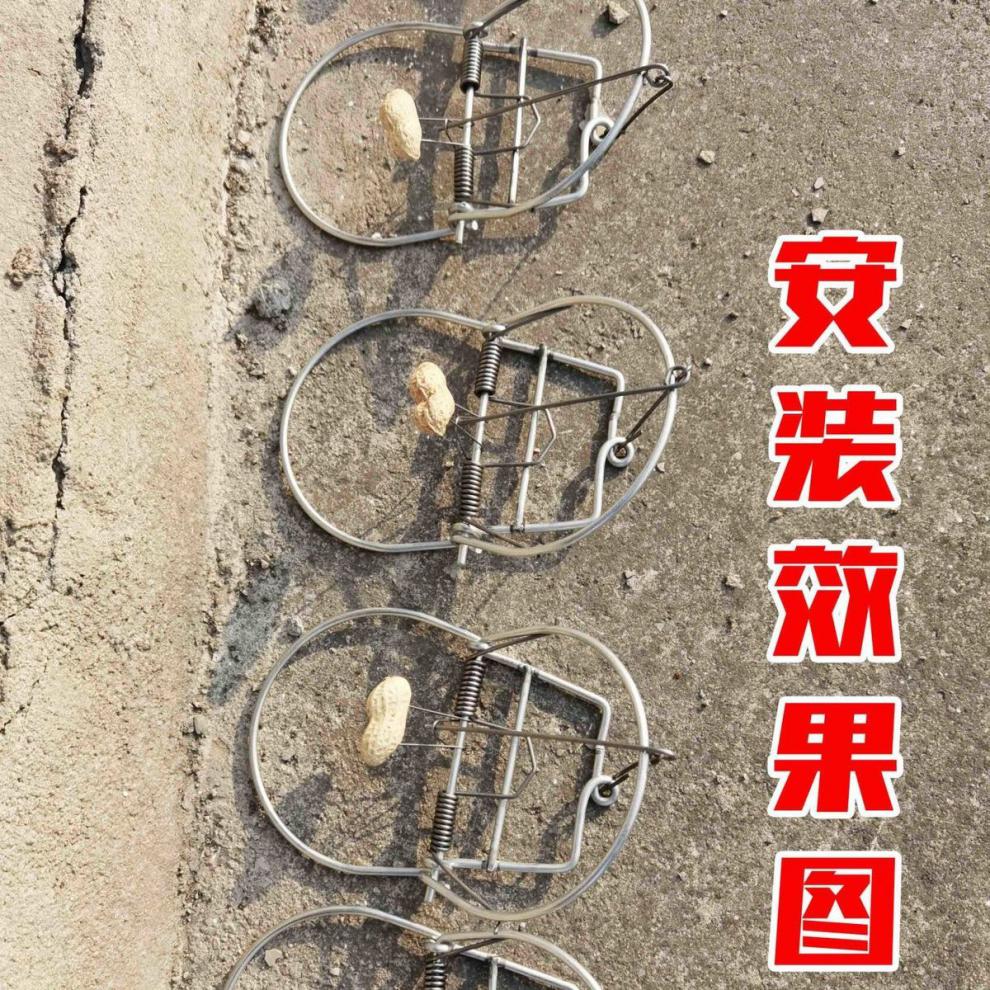山鸡夹子套家用加强老鼠克星家用老鼠夹捕鼠器灭鼠神器捉田鼠铁质夹子