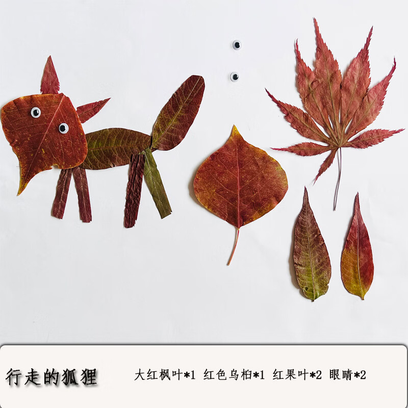 标本真树叶干花手工贴画成品小学生幼儿园diy材料包动物植物标本 大象