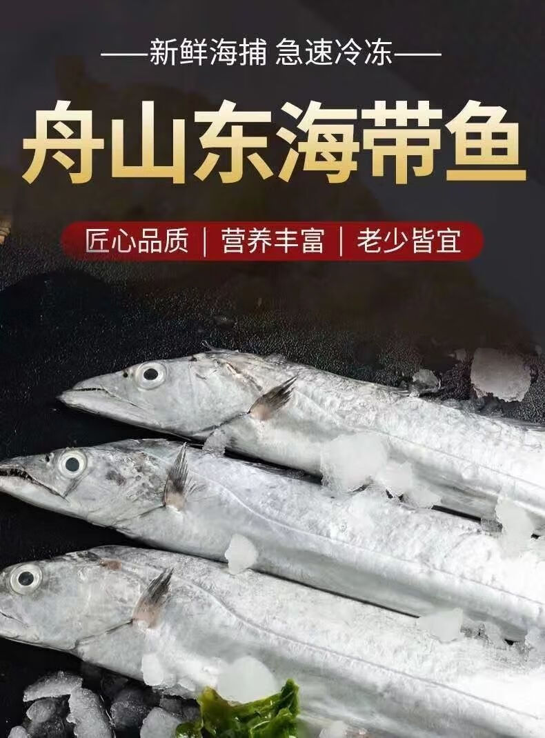无冰衣净重东海舟山小眼带鱼整条新鲜冰鲜海捕海鲜批发净重无冰衣3斤