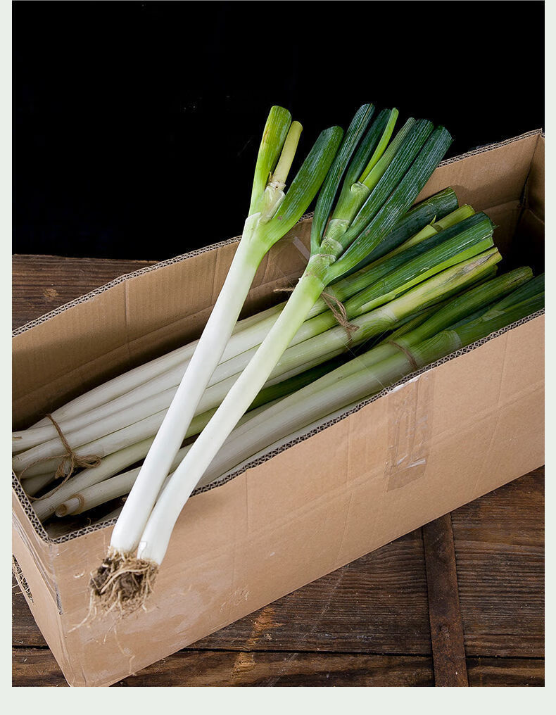 现挖速发正宗山东大葱新鲜铁杆大葱章丘当季高白脆甜送人送礼精选带箱