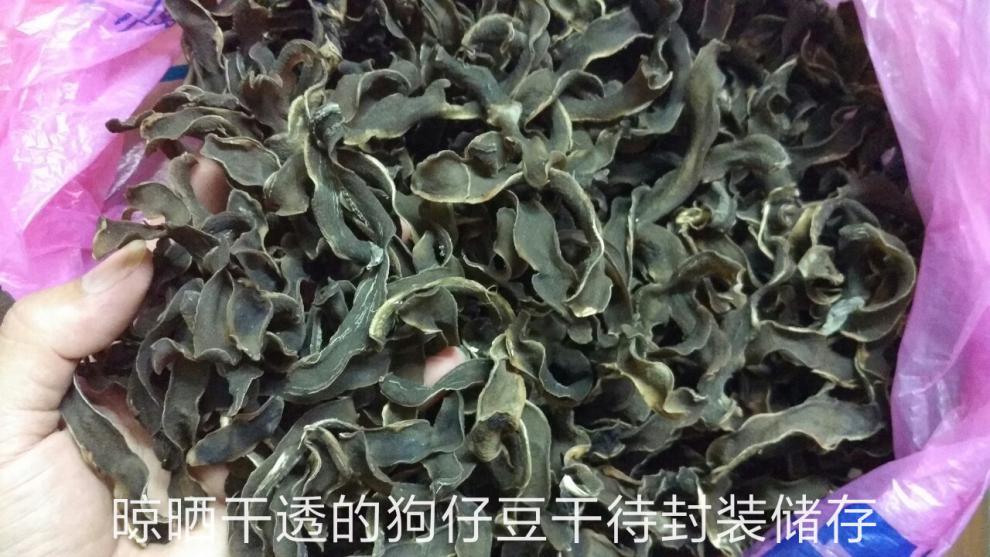农家自晒干狗爪豆狗仔豆干狗儿豆干250克/500克猫爪豆干老鼠豆新货